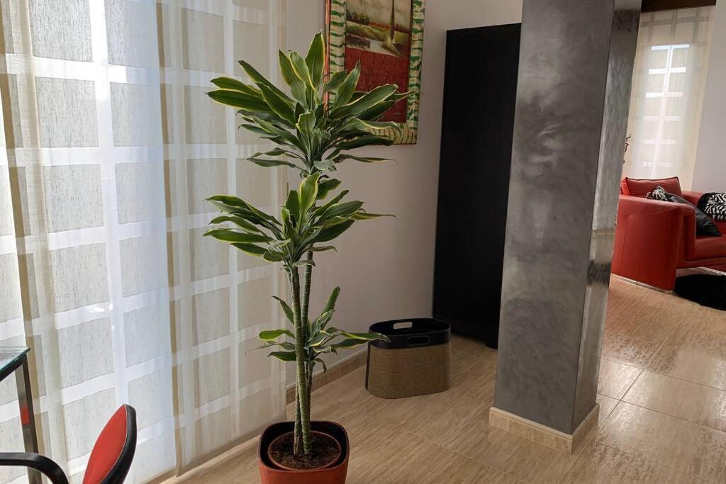 Apartamento Miramar . Amplitud Y Comodidad Алмазора Екстериор снимка