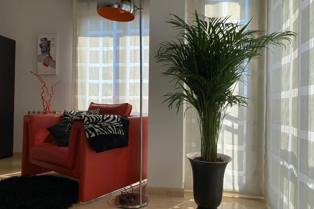 Apartamento Miramar . Amplitud Y Comodidad Алмазора Екстериор снимка